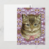 Carte Postale Tabby (Devant / Derrière)