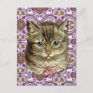 Carte Postale Tabby