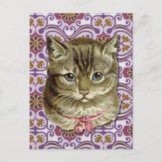 Carte Postale Tabby (Devant)