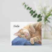 Carte Postale Tabby (Debout devant)