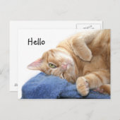 Carte Postale Tabby (Devant / Derrière)