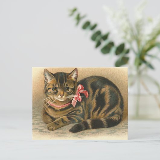 Carte postale "Tabby Cat" (Debout devant)