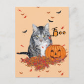 Carte Postale Tabby Cat Halloween (Devant)