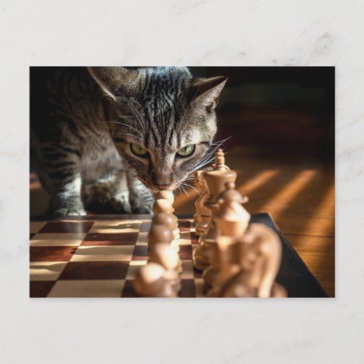 Carte Postale Tabby Cat Jouer Aux Échecs (Devant)