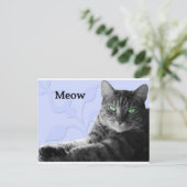 Carte Postale Tabby Cat Meow (Debout devant)