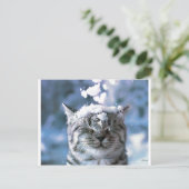 Carte Postale Tabby Cat Snow Splash (Debout devant)
