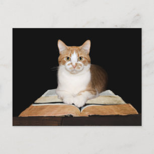 Carte Postale Tabby chat instruit ou bibliothécaire