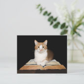 Carte Postale Tabby chat instruit ou bibliothécaire (Debout devant)