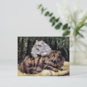 Carte Postale Tabby et Silver Persians (Debout devant)