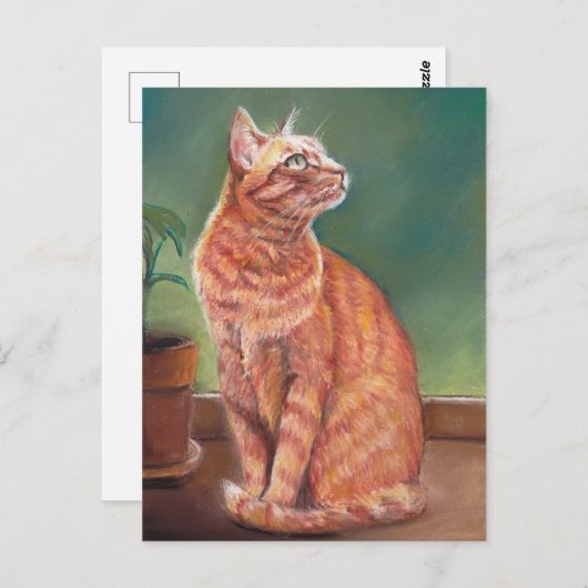 Carte Postale Tabby Jaune Chat Pastel Art (Devant / Derrière)