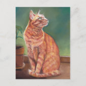 Carte Postale Tabby Jaune Chat Pastel Art (Devant)