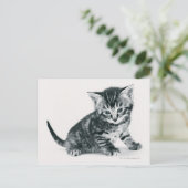 Carte Postale Tabby Kitten (Debout devant)