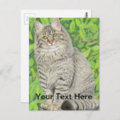 Carte Postale Tabby Longhair (Devant / Derrière)