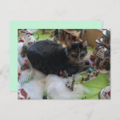 carte postale tabby noël chat (Devant / Derrière)