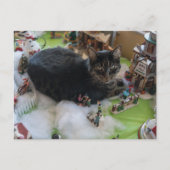 carte postale tabby noël chat (Devant)