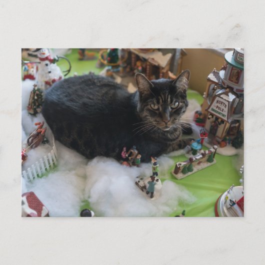 carte postale tabby noël chat (Devant)