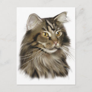 Carte Postale Tabby noir Maine Coon Cat