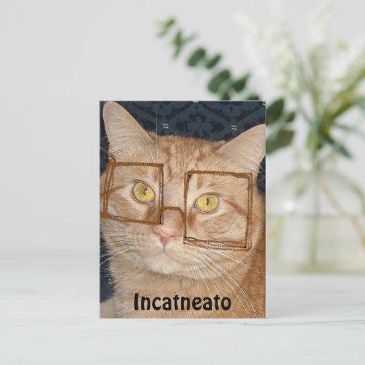 Carte Postale Tabby Orange Chat/Incognito (Debout devant)
