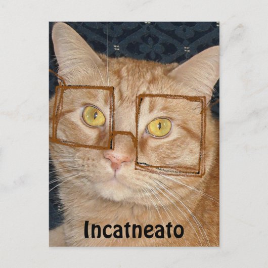 Carte Postale Tabby Orange Chat/Incognito (Devant)