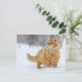 Carte Postale Tabby orange dans la neige (Debout devant)