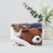 Carte Postale Tabby Sleeping Teddy Bear (Debout devant)