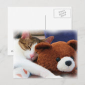 Carte Postale Tabby Sleeping Teddy Bear (Devant / Derrière)