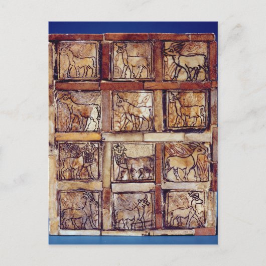 Carte Postale Table de jeu, animaux du champ et de la forêt (Devant)