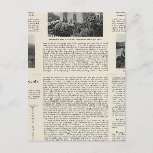 Carte Postale Table Grove Ranch, Californie (Devant)