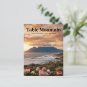 Carte Postale Table Mountain, Le Cap, Cap-Occidental (Debout devant)