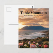 Carte Postale Table Mountain, Le Cap, Cap-Occidental (Devant / Derrière)