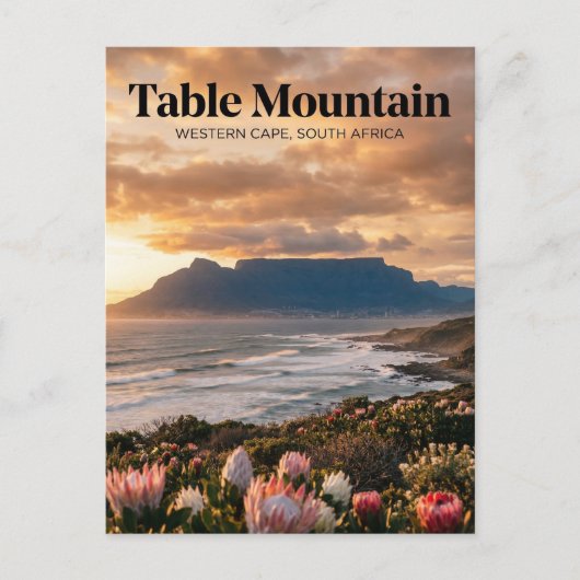 Carte Postale Table Mountain, Le Cap, Cap-Occidental (Devant)