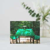 Carte Postale Tableau à Fallingwater (Debout devant)