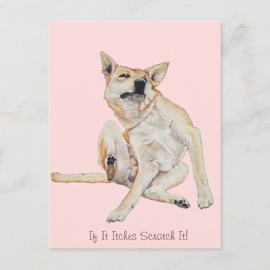 Carte Postale tableau à gratter avec un slogan drôle (Devant)