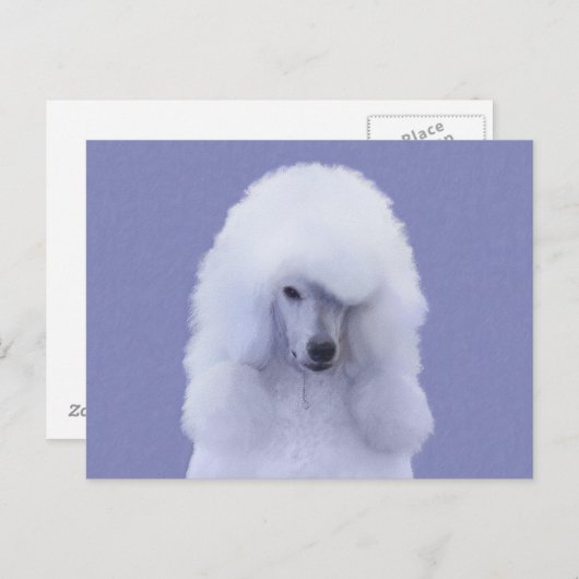 Carte Postale Tableau blanc standard de caniche - Art original d (Devant / Derrière)