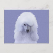 Carte Postale Tableau blanc standard de caniche - Art original d (Devant)