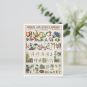 Carte Postale Tableau botanique vintage : Utilisation économique (Debout devant)