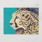 Carte Postale Tableau Cheetah (Devant)