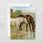 Carte Postale Tableau Cheval vintage (Devant / Derrière)