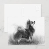 Carte Postale Tableau Chihuahua original (Devant / Derrière)