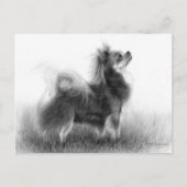 Carte Postale Tableau Chihuahua original (Devant)