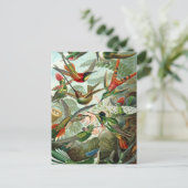 Carte Postale tableau classique de la faune des oiseaux colibris (Debout devant)