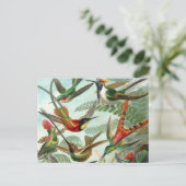Carte Postale tableau classique de la faune des oiseaux colibris (Debout devant)