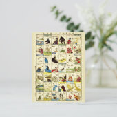 Carte Postale Tableau de l'alphabet chinois (Debout devant)