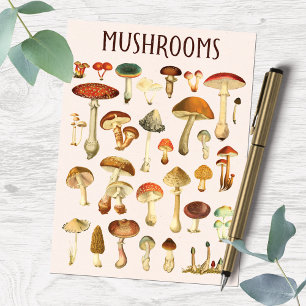 Carte Postale Tableau des champignons vintages
