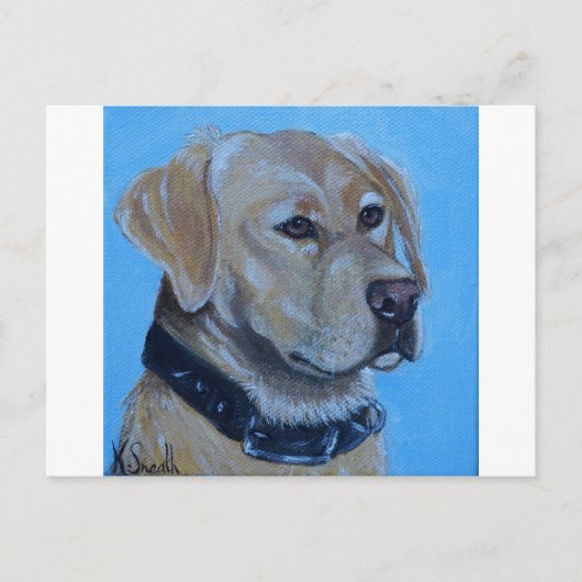 Carte Postale Tableau du Labrador jaune (Devant)