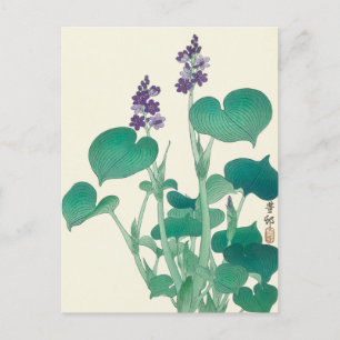 Carte Postale Tableau Hosta en fleurs par Ohara Koson