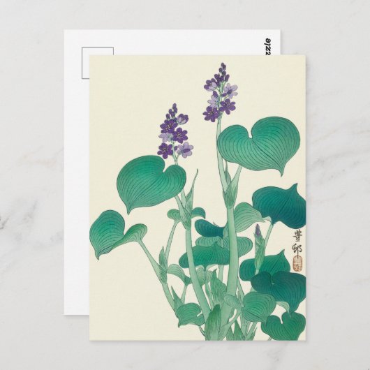 Carte Postale Tableau Hosta en fleurs par Ohara Koson (Devant / Derrière)