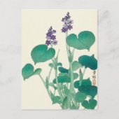 Carte Postale Tableau Hosta en fleurs par Ohara Koson (Devant)