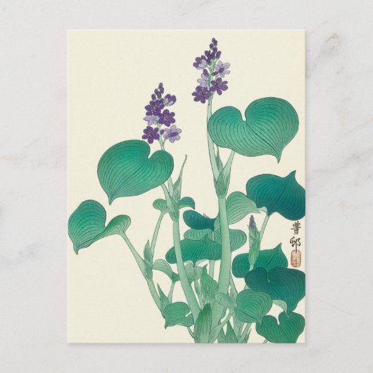 Carte Postale Tableau Hosta en fleurs par Ohara Koson (Devant)