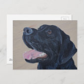 Carte Postale Tableau noir du Labrador (Devant / Derrière)